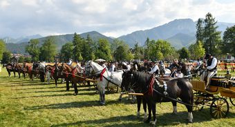 KONIE, TRADYCJA I RYWALIZACJA – PODHALE ROZPOCZĘŁO MIĘDZYNARODOWY FESTIWAL FOLKLORU