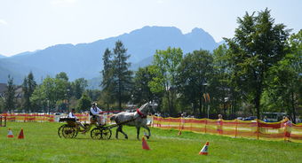 Podhale Carriage Championships, Coachman of the Year Competition and Singing Contest