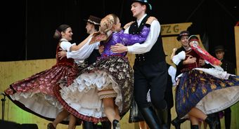 DZIEŃ 5 56. MFFZG - FESTIWALOWE MOZAIKA