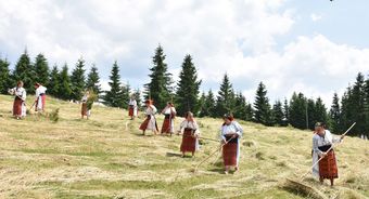 Romania