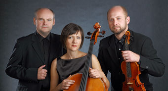 Malawski Trio